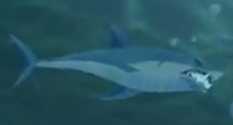 Sly 3 shark.png