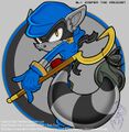Sonic style Sly Cooper