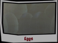 Eggs-recon.png
